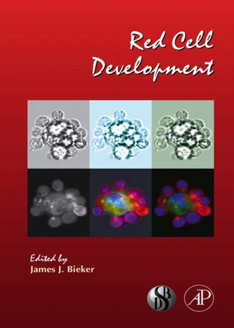 E-knjiga Red Cell Development James Bieker