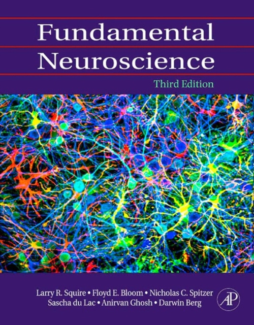 E-kniha Fundamental Neuroscience Larry Squire