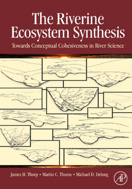 E-knjiga Riverine Ecosystem Synthesis James H. Thorp