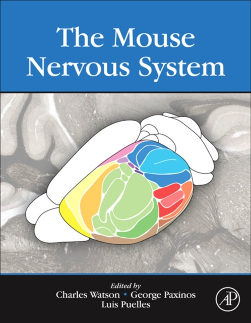 E-book Mouse Nervous System Charles Watson