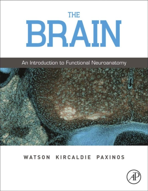 E-kniha Brain Charles Watson
