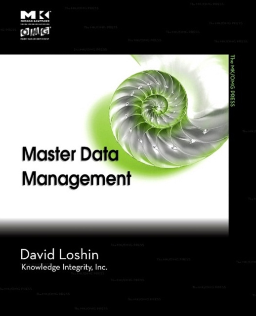 E-knjiga Master Data Management David Loshin