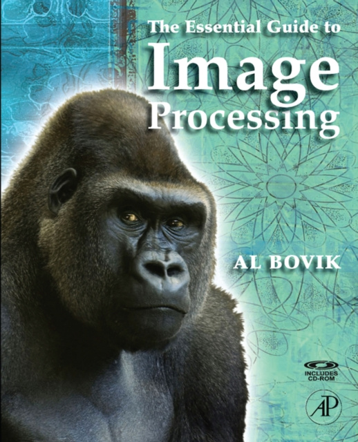 E-Book Essential Guide to Image Processing Alan C. Bovik