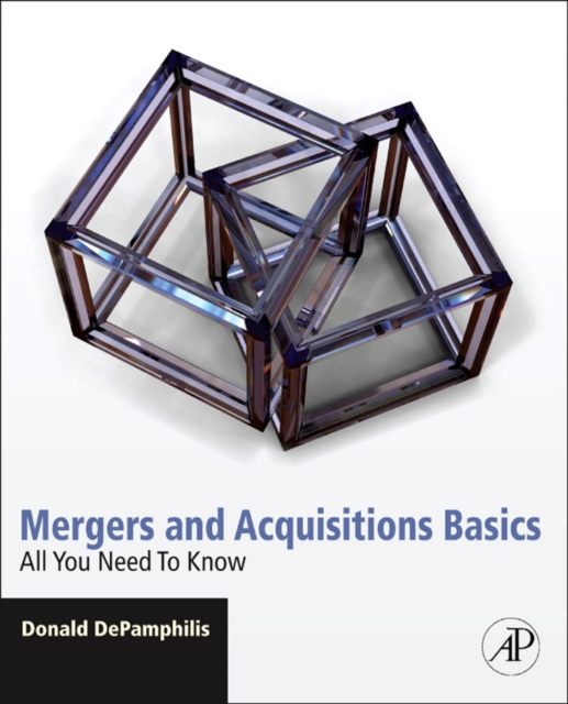 E-knjiga Mergers and Acquisitions Basics Donald DePamphilis