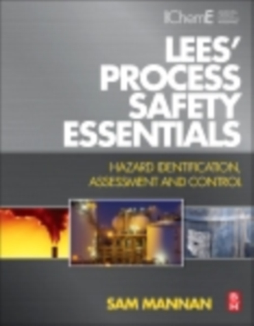 E-book Lees' Process Safety Essentials Sam Mannan