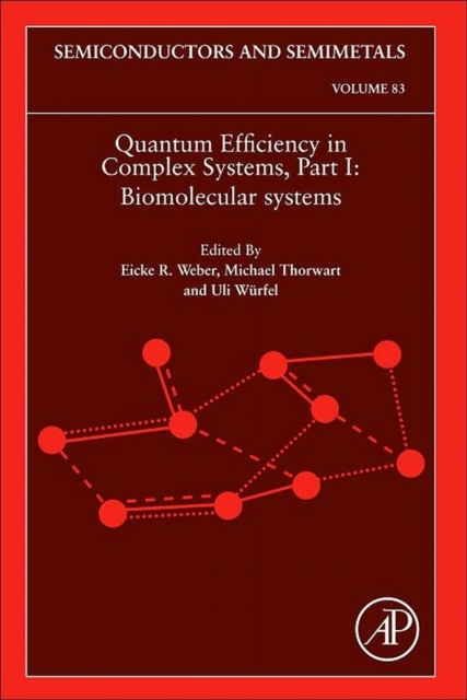 E-kniha Quantum Efficiency in Complex Systems, Part I Eicke R. Weber