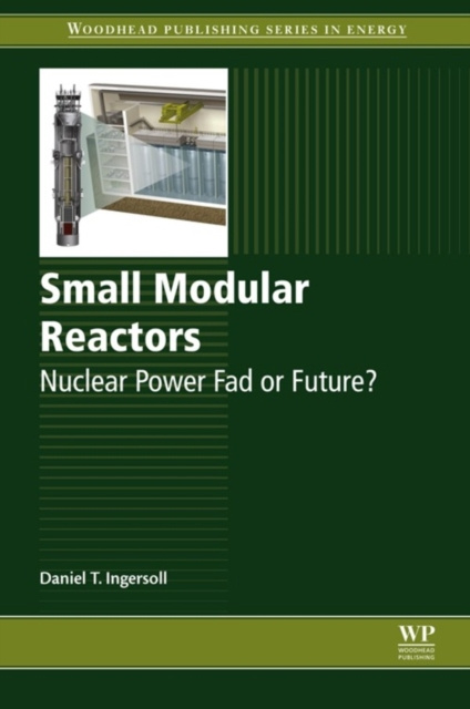 E-knjiga Small Modular Reactors Daniel T Ingersoll