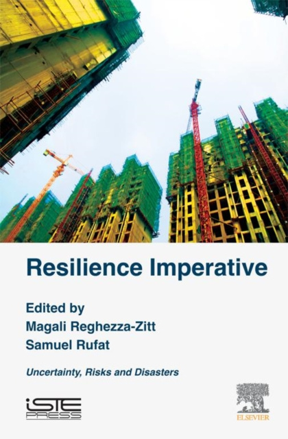E-book Resilience Imperative Magali Reghezza