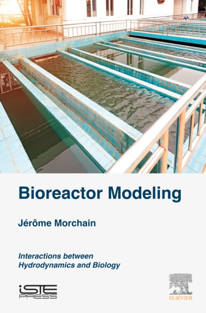 E-book Bioreactor Modeling Jerome Morchain