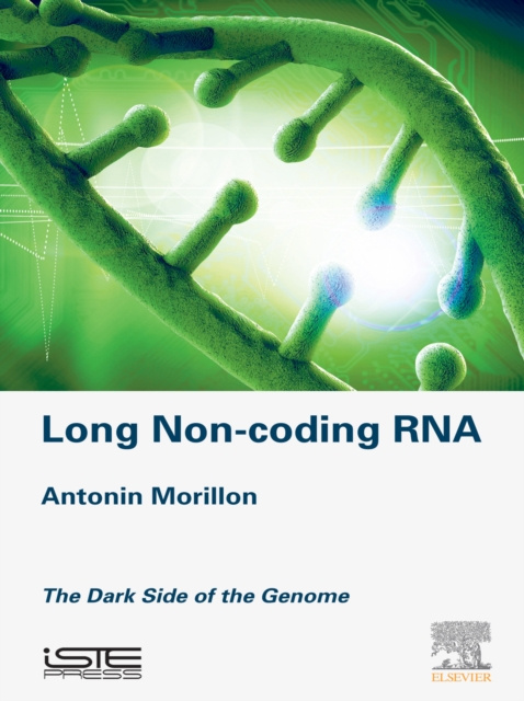 E-knjiga Long Non-coding RNA Antonin Morillon