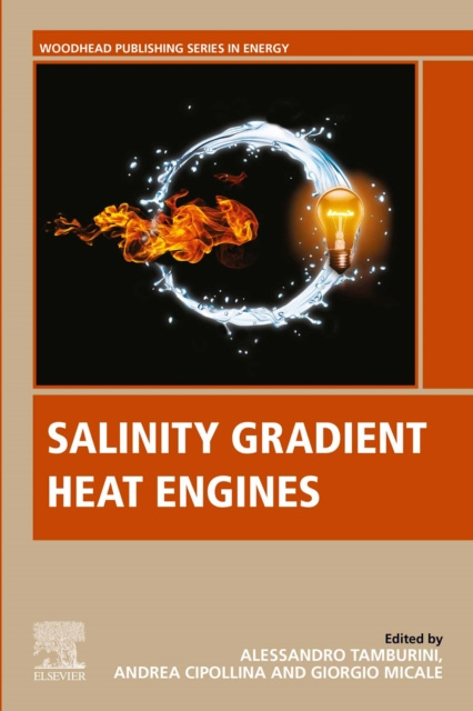 E-book Salinity Gradient Heat Engines Alessandro Tamburini
