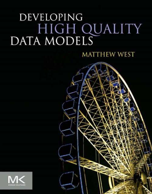 E-knjiga Developing High Quality Data Models Matthew West