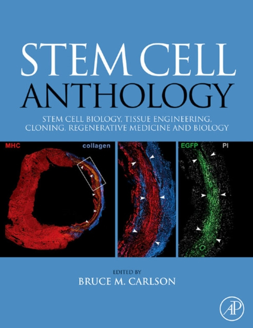 E-book Stem Cell Anthology Bruce M. Carlson