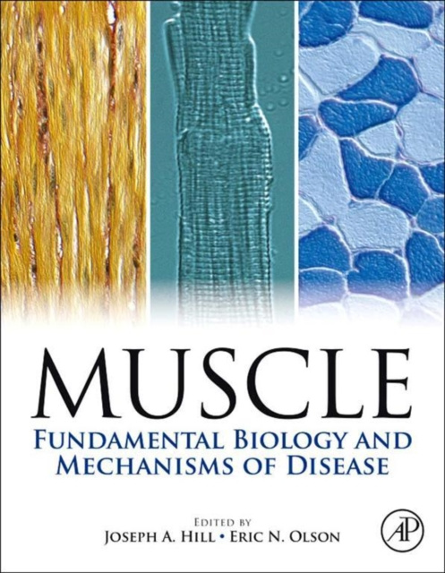 E-Book Muscle 2-Volume Set Joseph Hill