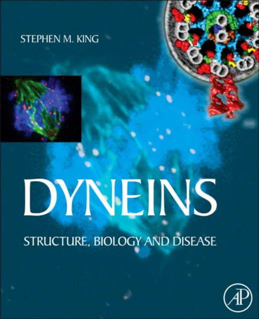 E-book Dyneins Stephen M. King