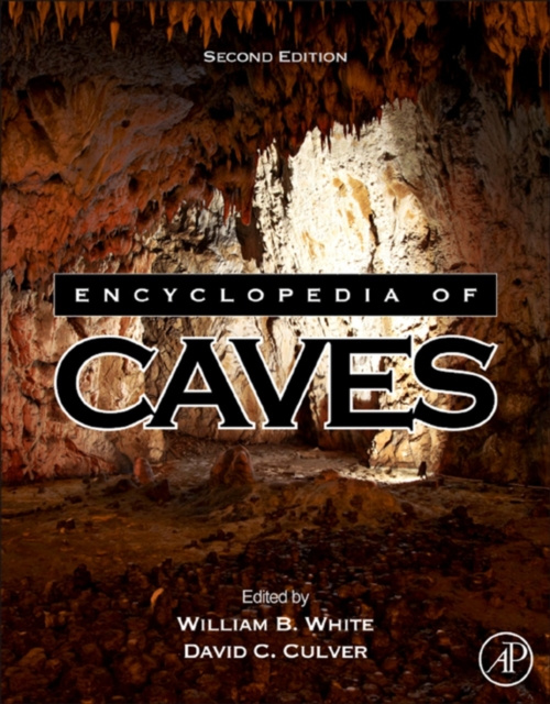 E-kniha Encyclopedia of Caves William B. White