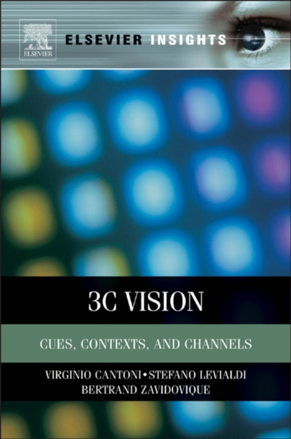 E-book 3C Vision Virginio Cantoni