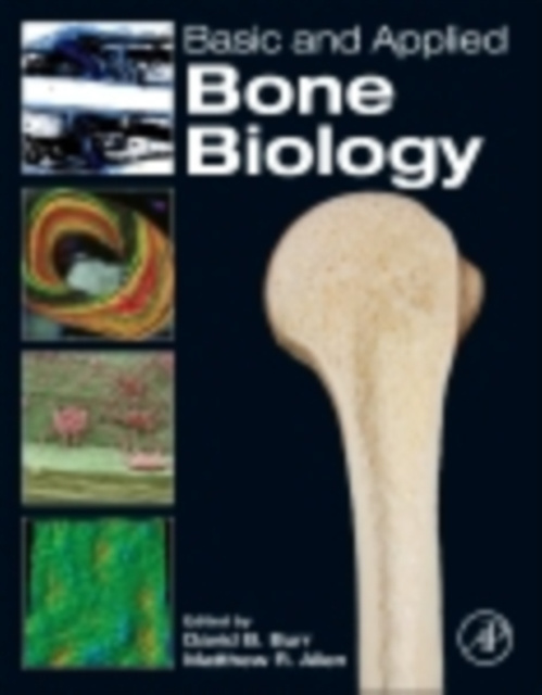E-Book Basic and Applied Bone Biology David B. Burr