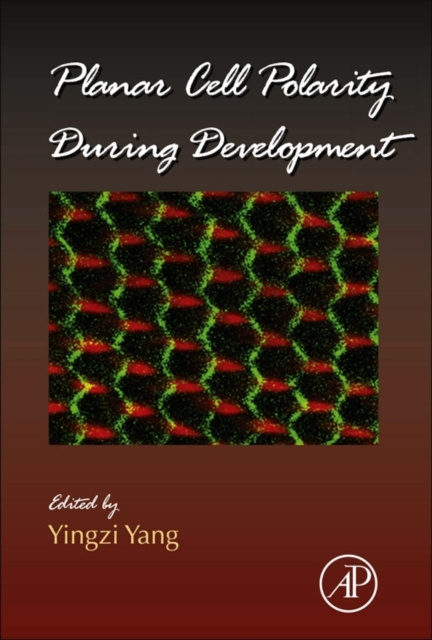 E-kniha Planar Cell Polarity During Development Yingzi Yang