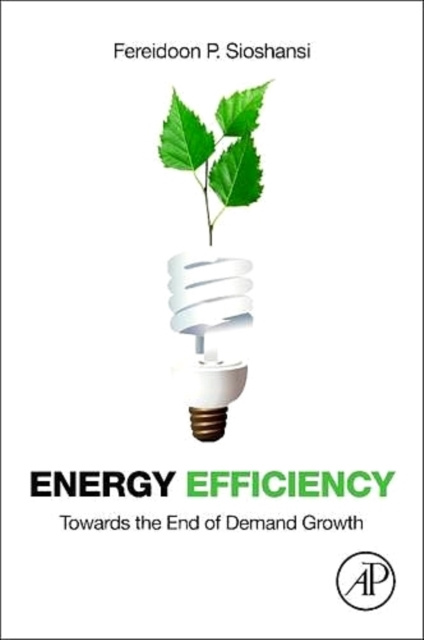 E-book Energy Efficiency Fereidoon Sioshansi