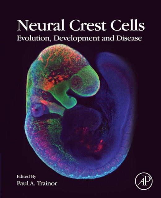 E-book Neural Crest Cells Paul Trainor