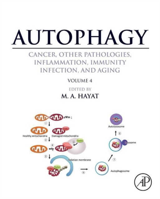 E-kniha Autophagy: Cancer, Other Pathologies, Inflammation, Immunity, Infection, and Aging M. A. Hayat