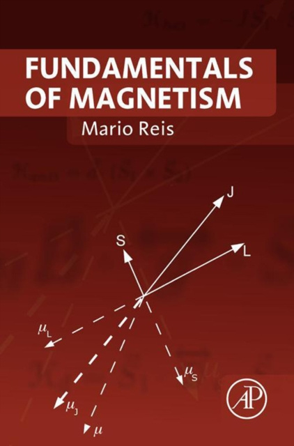 E-kniha Fundamentals of Magnetism Mario Reis