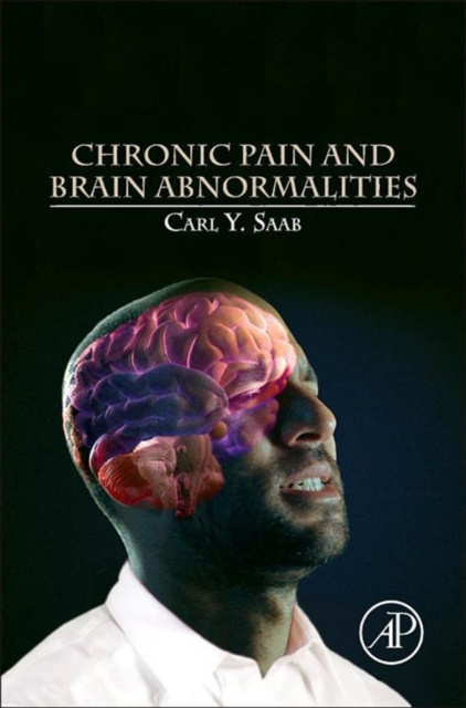 E-knjiga Chronic Pain and Brain Abnormalities Carl Y. Saab