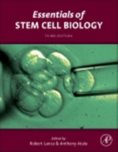 E-knjiga Essentials of Stem Cell Biology Robert Lanza