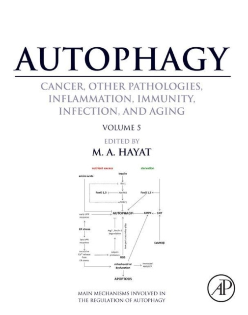 E-kniha Autophagy: Cancer, Other Pathologies, Inflammation, Immunity, Infection, and Aging M. A. Hayat