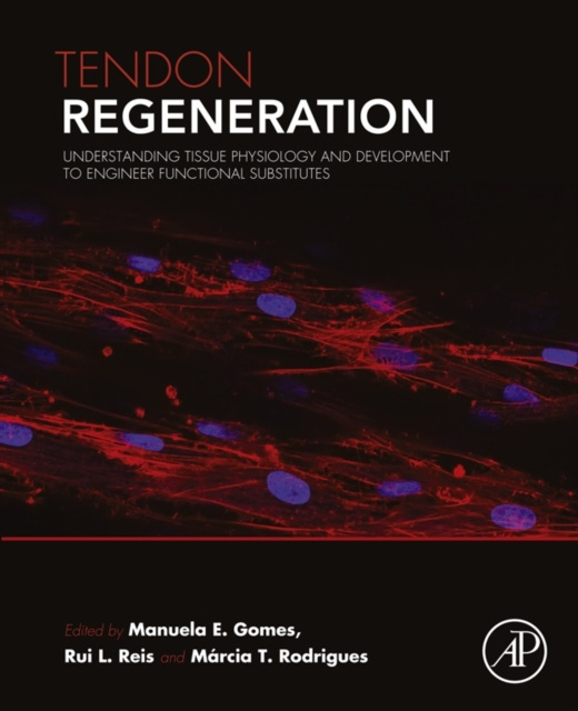 E-book Tendon Regeneration Manuela E Gomes