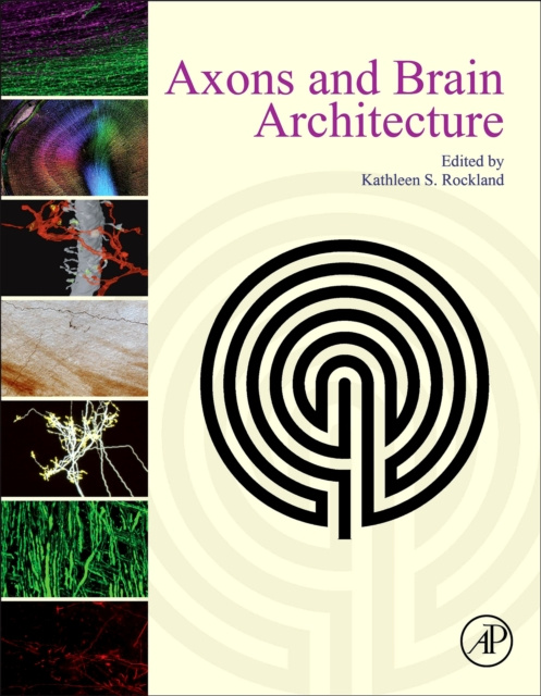 E-kniha Axons and Brain Architecture Kathleen Rockland