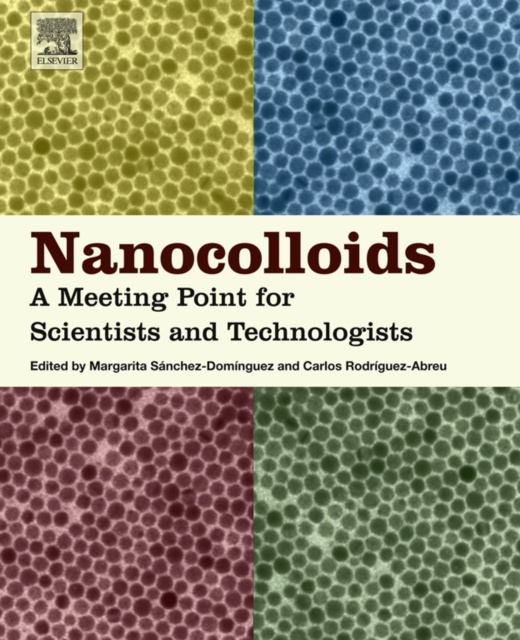 E-kniha Nanocolloids Margarita Sanchez Dominguez