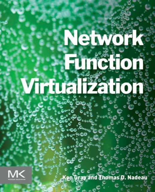 E-kniha Network Function Virtualization Ken Gray