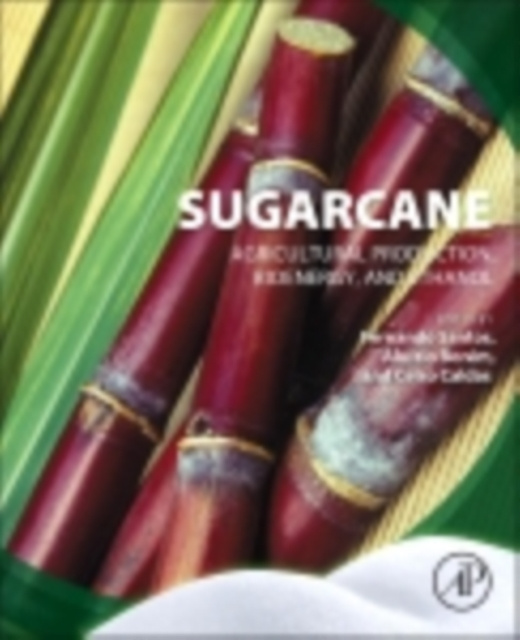 E-book Sugarcane Fernando Santos