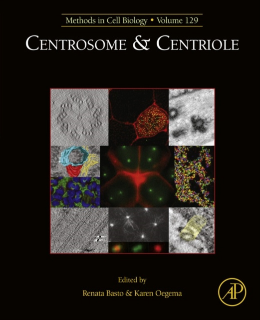 E-book Centrosome and Centriole Renata Basto