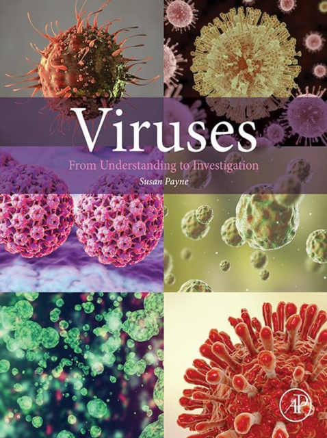 E-book Viruses Susan Payne