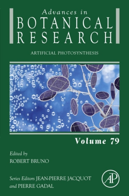 E-knjiga Artificial Photosynthesis Robert Bruno