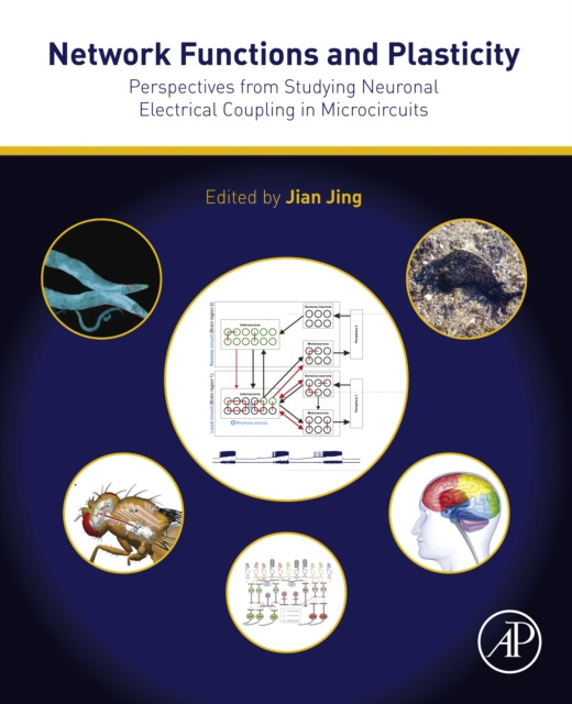 E-knjiga Network Functions and Plasticity Jian Jing