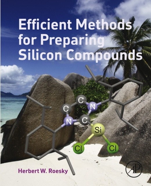 E-knjiga Efficient Methods for Preparing Silicon Compounds Herbert W Roesky