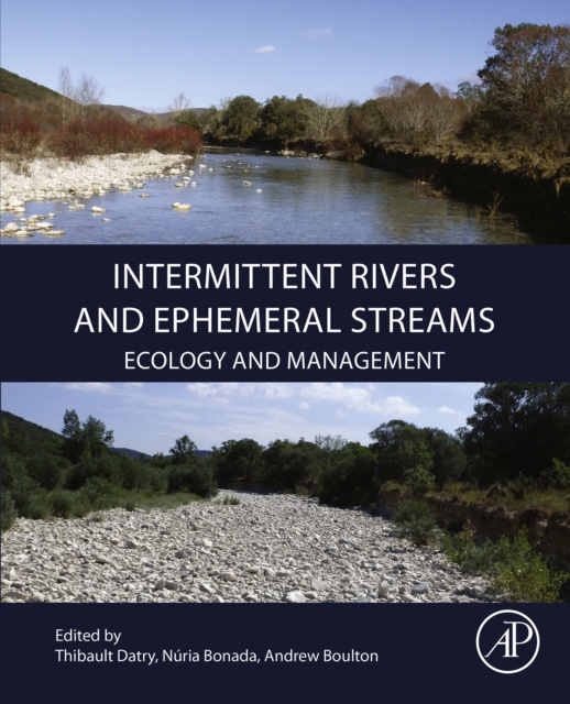 E-kniha Intermittent Rivers and Ephemeral Streams Thibault Datry