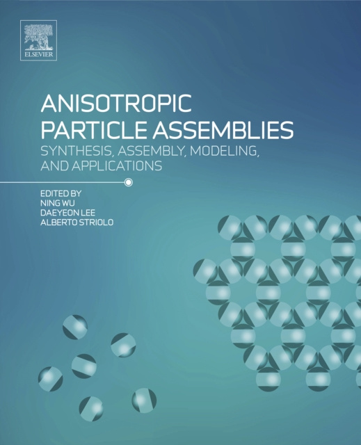 E-kniha Anisotropic Particle Assemblies Ning Wu