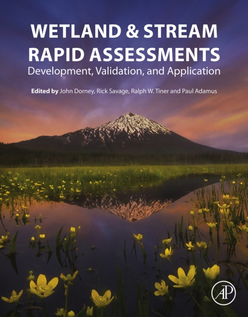 E-kniha Wetland and Stream Rapid Assessments John Dorney