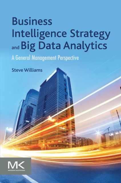 E-kniha Business Intelligence Strategy and Big Data Analytics Steve Williams