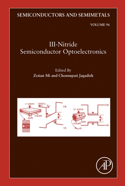 E-Book III-Nitride Semiconductor Optoelectronics Zetian Mi