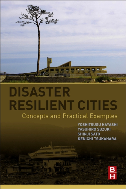 E-knjiga Disaster Resilient Cities Yoshitsugu Hayashi