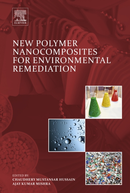 Libro elettronico New Polymer Nanocomposites for Environmental Remediation Chaudhery Mustansar Hussain