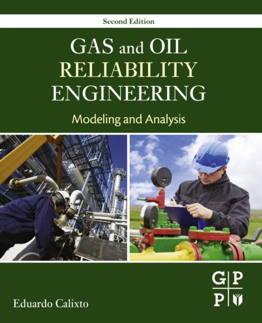 E-kniha Gas and Oil Reliability Engineering Eduardo Calixto