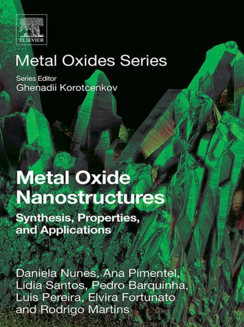 E-kniha Metal Oxide Nanostructures Daniela Nunes