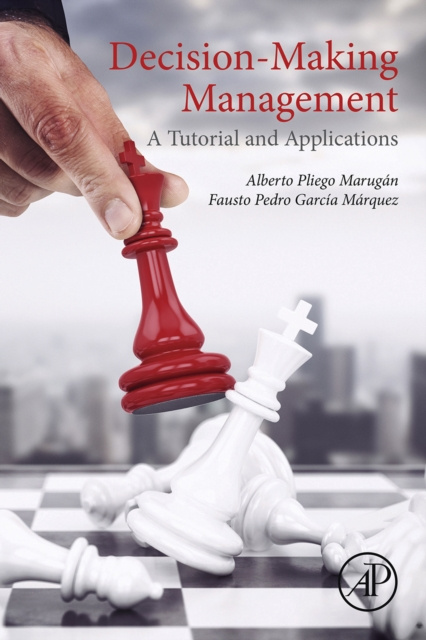 E-kniha Decision-Making Management Alberto Pliego Marugan